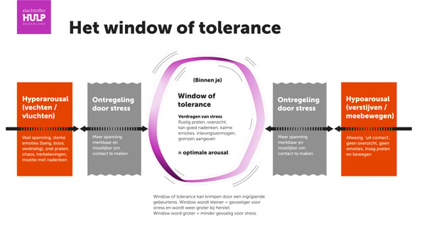 Model window of tolerance